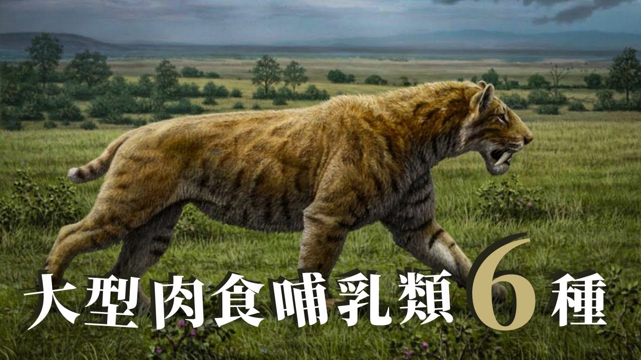 DNA研究により、5,400年前に北欧の人口をほぼ絶滅させた原因の手がかりが得られる DNA研究により、5,400年前に北欧の人口をほぼ絶滅させた原因の手がかりが得られる