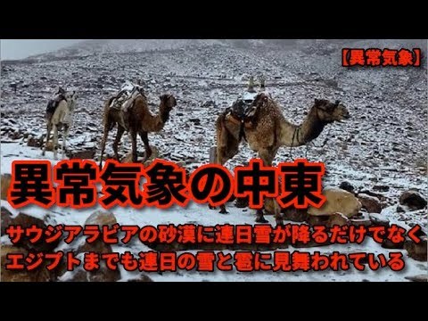 エジプトの異常気象に直面した際の先祖伝来の技術の使用 エジプトの異常気象に直面した際の先祖伝来の技術の使用