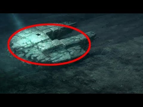 あなたの体で見つかる興味深い進化の痕跡 あなたの体で見つかる興味深い進化の痕跡