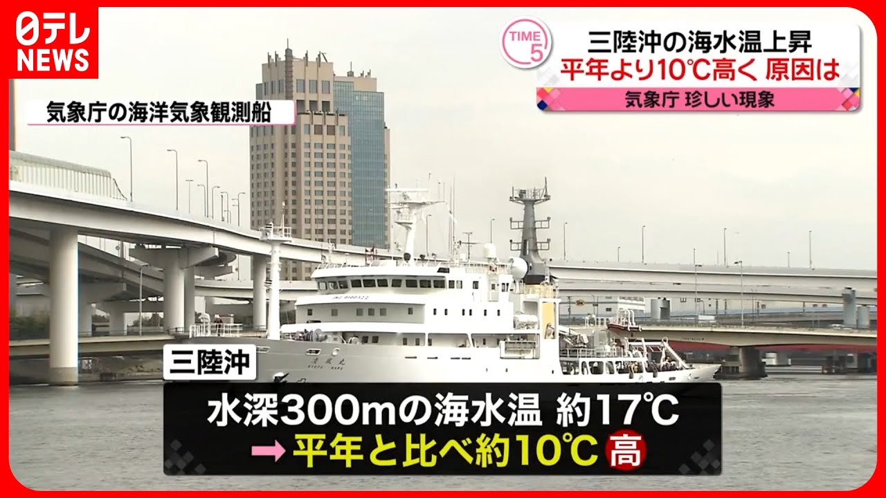記録的な海水温が最近の異常事態を後押しした 記録的な海水温が最近の異常事態を後押しした