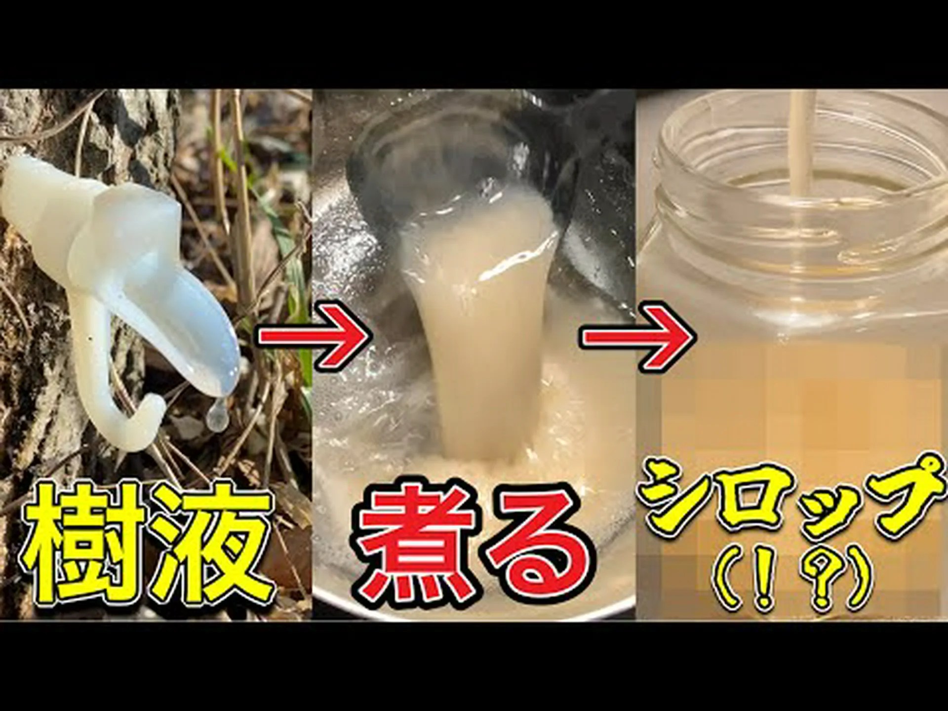 メープルの切断: 最良のヒントについて知っておくべきこと! メープルの切断: 最良のヒントについて知っておくべきこと!