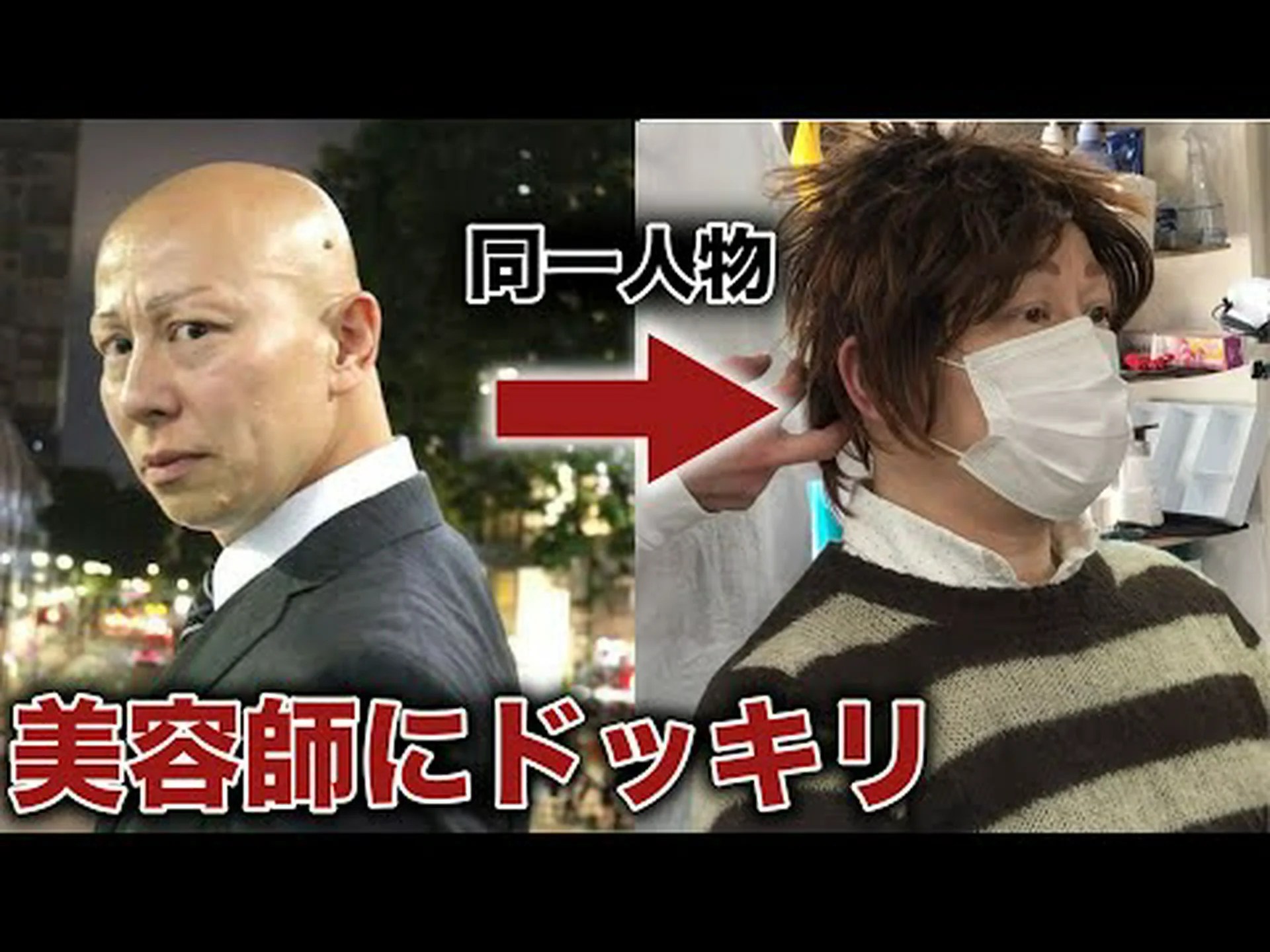 かつらの茂みをカットする: 最良のヒント かつらの茂みをカットする: 最良のヒント