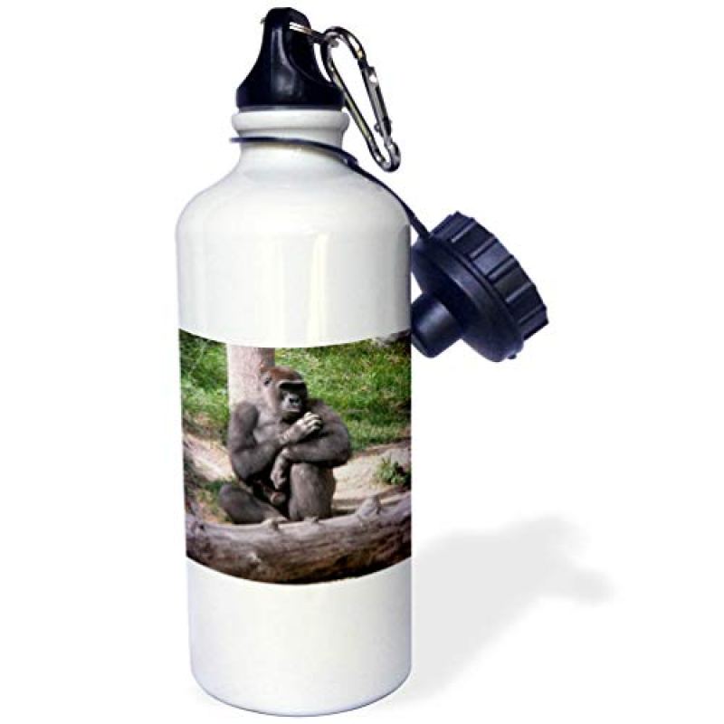 3dRose “Gorilla Touching Fur” Sports Water Bottle, 21 oz, White 3dRose “Gorilla Touching Fur” Sports Water Bottle, 21 oz, White