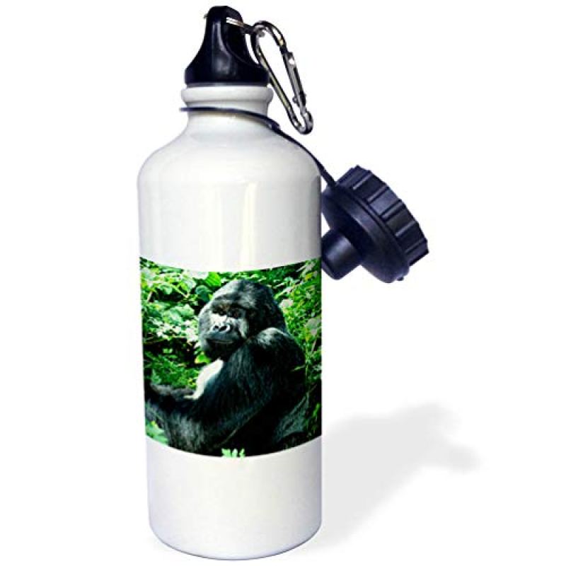 3dRose “Gorilla” Sports Water Bottle, 21 oz, White 3dRose “Gorilla” Sports Water Bottle, 21 oz, White