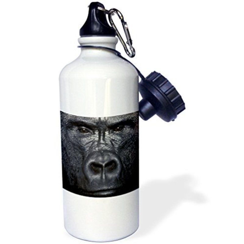 3dRose “Lowland Gorilla” Sports Water Bottle, 21 oz, White 3dRose “Lowland Gorilla” Sports Water Bottle, 21 oz, White