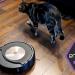 The best robot vacuum for 2025 The best robot vacuum for 2025