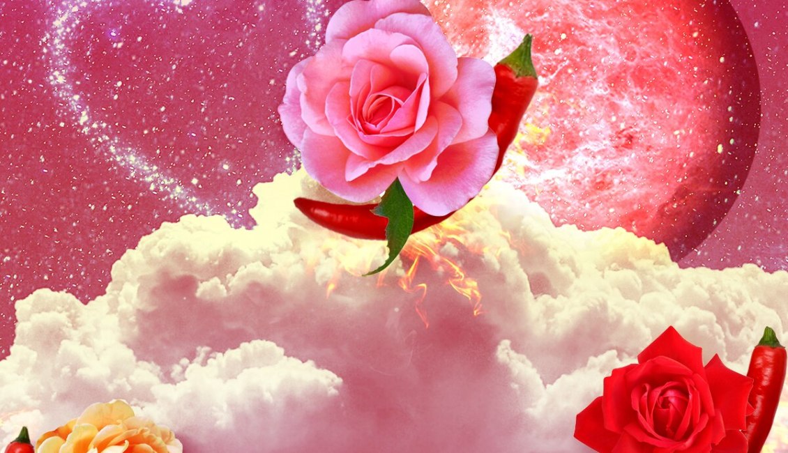 Astrologer Susan Miller Reveals These Signs Will Have a Spicy V-Day Astrologer Susan Miller Reveals These Signs Will Have a Spicy V-Day