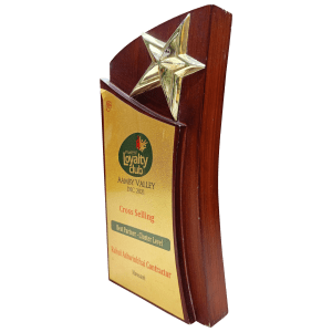Star Wooden Trophy Star Wooden Trophy