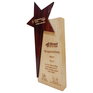 Wooden Block with wooden star award Wooden Block with wooden star award