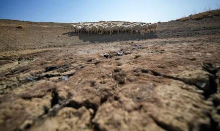 The earth’s lands are drying up. The nations are trying to address the problem in talks this week The earth’s lands are drying up. The nations are trying to address the problem in talks this week