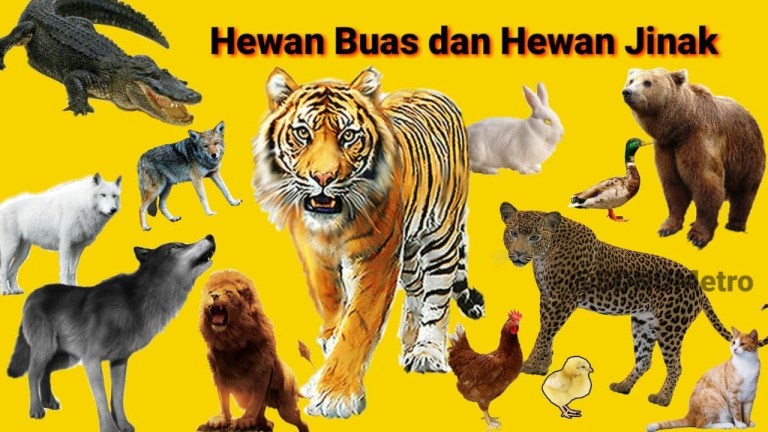 Mengapa Kita Bermimpi Tentang Binatang Buas? Mengapa Kita Bermimpi Tentang Binatang Buas?