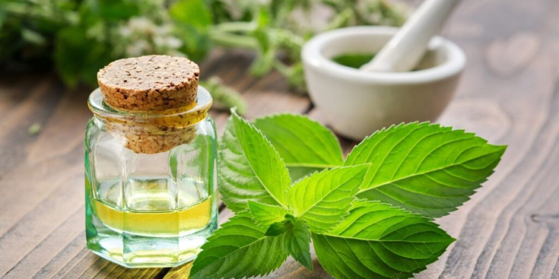 What Are the Best Essential Oils for Hair Growth? What Are the Best Essential Oils for Hair Growth?