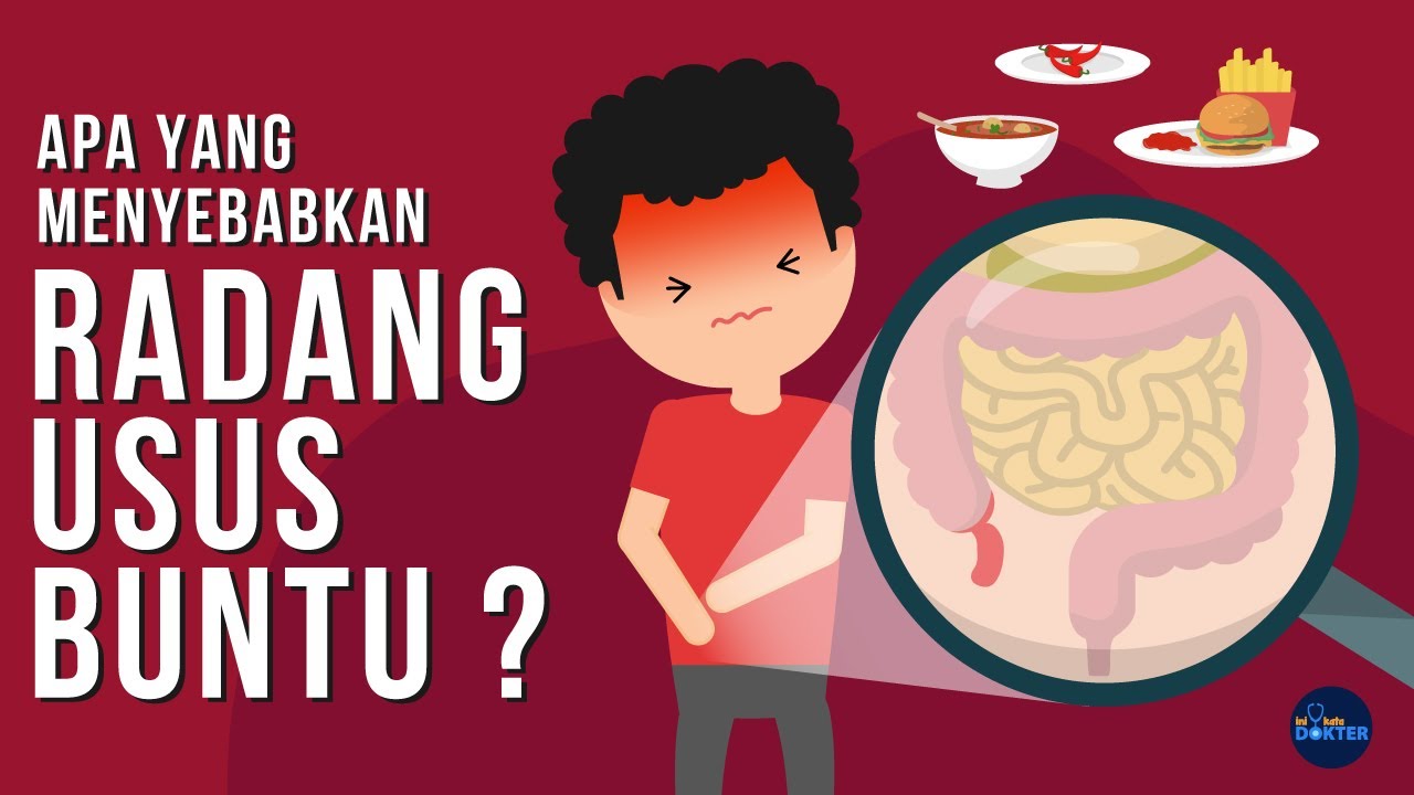 Apa yang menyebabkan DejaVu? Apa yang menyebabkan DejaVu?