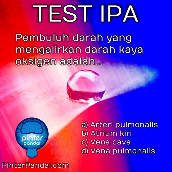 32+ Soal Dan Pembahasan Hukum Faraday Kimia Kelas 12 32+ Soal Dan Pembahasan Hukum Faraday Kimia Kelas 12