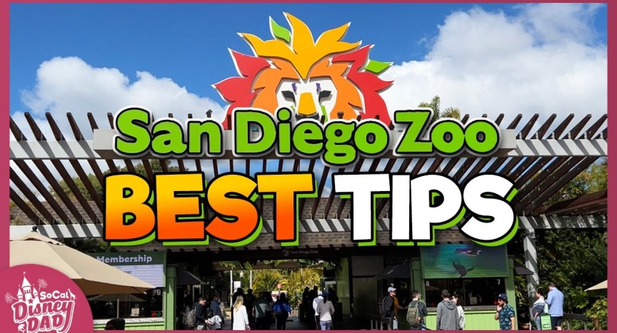 10 BEST San Diego Zoo Tips You NEED to Know in 2023 10 BEST San Diego Zoo Tips You NEED to Know in 2023