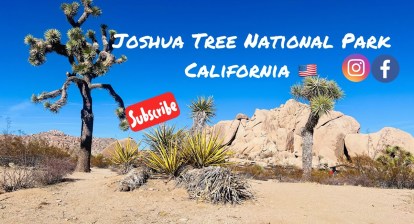 Ep: 81 | Joshua Tree National Park from Palm Springs | California Ep: 81 | Joshua Tree National Park from Palm Springs | California