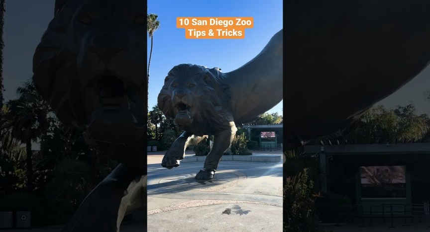 10 @SanDiegoZoo Tips & Tricks in San Diego 10 @SanDiegoZoo Tips & Tricks in San Diego