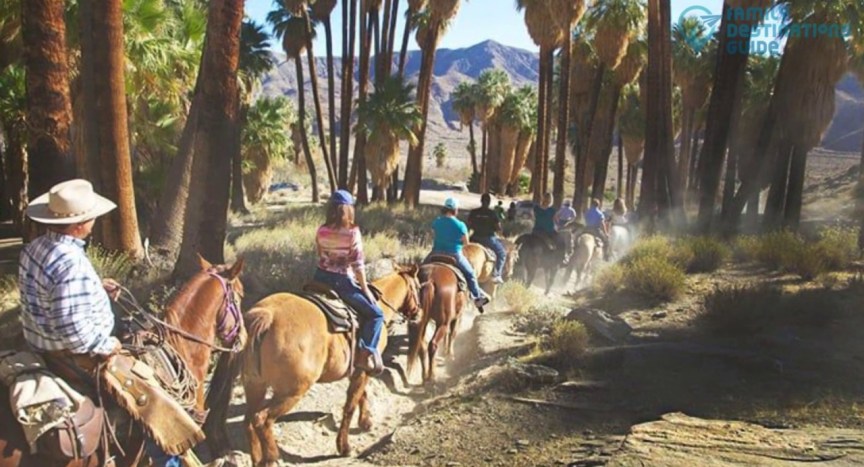 25 Fun Things to Do in Palm Springs with Kids 25 Fun Things to Do in Palm Springs with Kids