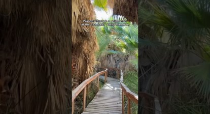 6 Fun Things to Do in Greater Palm Springs, California (via jaymestark4 on IG) #shorts 6 Fun Things to Do in Greater Palm Springs, California (via jaymestark4 on IG) #shorts