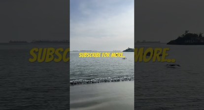 Best Beaches in Long Beach California #travel #asmr #nature  #subscribe #travel #trump #vacation Best Beaches in Long Beach California #travel #asmr #nature  #subscribe #travel #trump #vacation