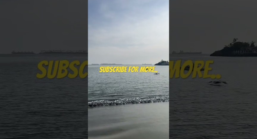 Best Beaches in Long Beach California #travel #asmr #nature  #subscribe #travel #trump #vacation Best Beaches in Long Beach California #travel #asmr #nature  #subscribe #travel #trump #vacation