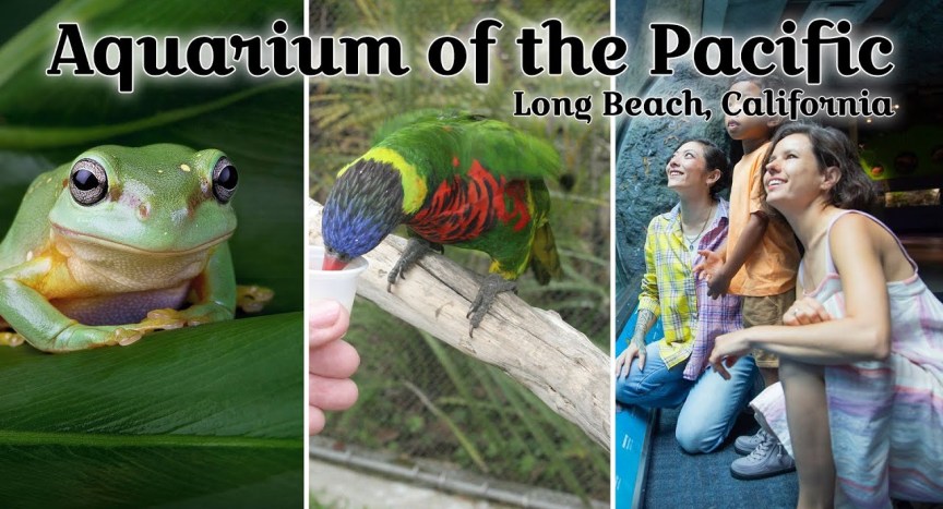 Aquarium of the Pacific – Long Beach, California Aquarium of the Pacific – Long Beach, California