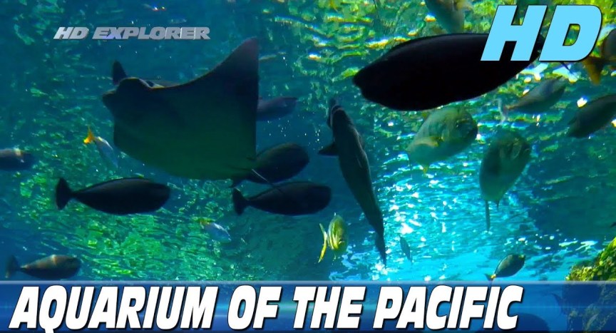 Aquarium of the Pacific (Long Beach – California) Aquarium of the Pacific (Long Beach – California)