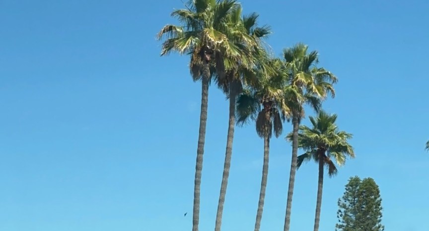 Driving in San Diego Driving in San Diego