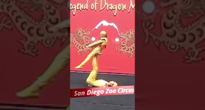 Acrobats Performing at the San Diego Zoo Acrobats Performing at the San Diego Zoo