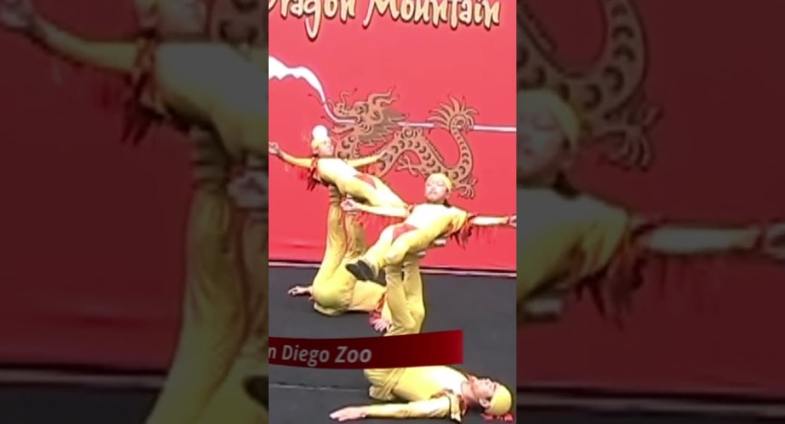 Acrobats at San Diego Zoo Circus Acrobats at San Diego Zoo Circus