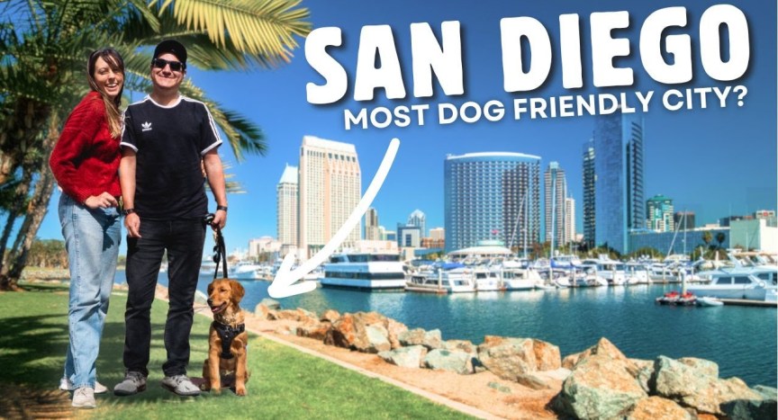 A PERFECT WEEKEND IN SAN DIEGO – Things To Do, See, & Eat (Dog friendly!) A PERFECT WEEKEND IN SAN DIEGO – Things To Do, See, & Eat (Dog friendly!)
