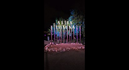 #Astra Lumina Los Angeles – Falling Stars – #2024 #Astra Lumina Los Angeles – Falling Stars – #2024