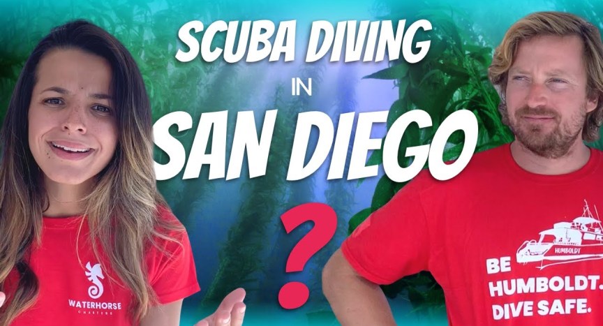 Can you actually go scuba diving in San Diego?! Can you actually go scuba diving in San Diego?!