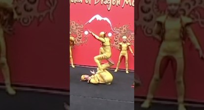 Acrobats Performing at the San Diego Zoo Acrobats Performing at the San Diego Zoo