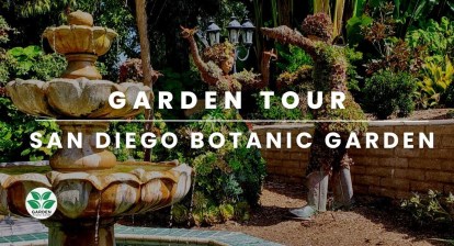 A Journey Through the San Diego Botanic Garden: A Tapestry of Nature’s Wonders A Journey Through the San Diego Botanic Garden: A Tapestry of Nature’s Wonders