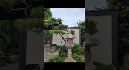 Earl Burns Miller Japanese Garden in Long Beach California Earl Burns Miller Japanese Garden in Long Beach California