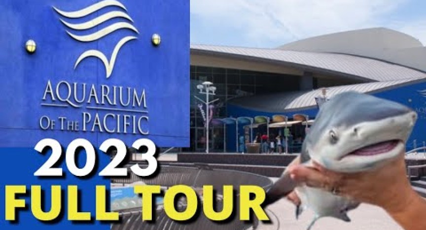 Aquarium of the Pacific Long Beach | The Best Aquarium?! Aquarium of the Pacific Long Beach | The Best Aquarium?!