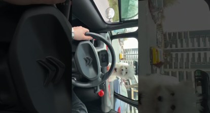 Bobys #2025 #eğlence #usa #tokyo #amsterdam #turkey #losangeles #trend #ctroen #ami Bobys #2025 #eğlence #usa #tokyo #amsterdam #turkey #losangeles #trend #ctroen #ami