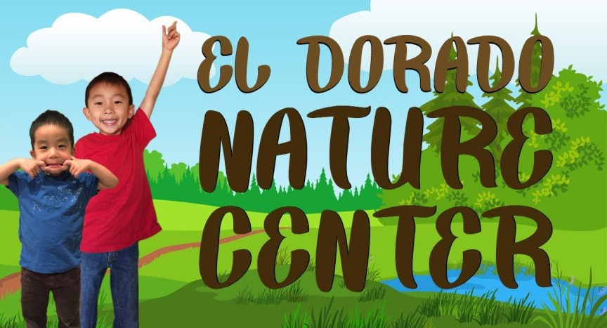 El Dorado Nature Center (Things to do in Long Beach California): Traveling with Kids El Dorado Nature Center (Things to do in Long Beach California): Traveling with Kids