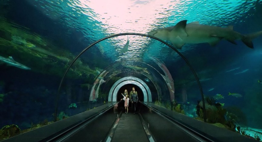 California 101: SeaWorld San Diego California 101: SeaWorld San Diego