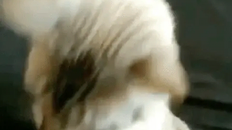 Setting Up Your First Affiliate Program in WordPress Setting Up Your First Affiliate Program in WordPress