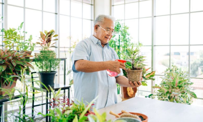 Will the average retirement age continue to rise? – Retirement Research Center Will the average retirement age continue to rise? – Retirement Research Center