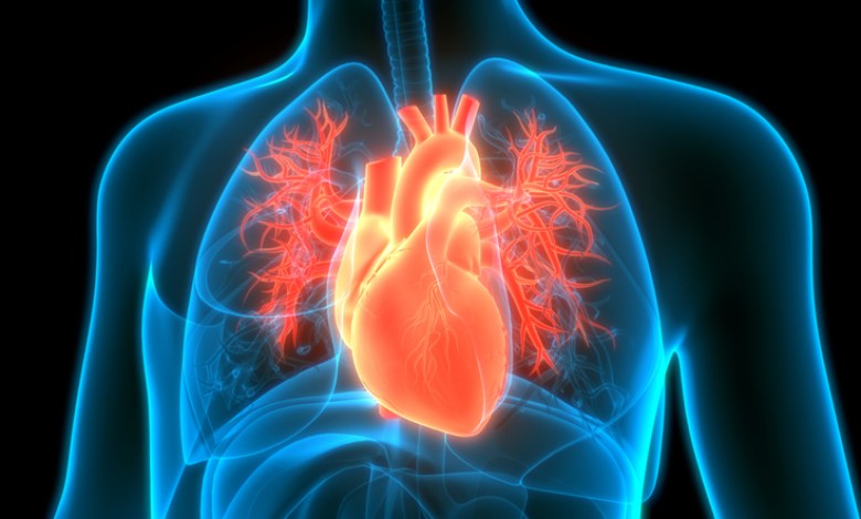 Death in Rocket Pharmaceuticals gene therapy research brings attention to trial changes aimed at improving safety Death in Rocket Pharmaceuticals gene therapy research brings attention to trial changes aimed at improving safety