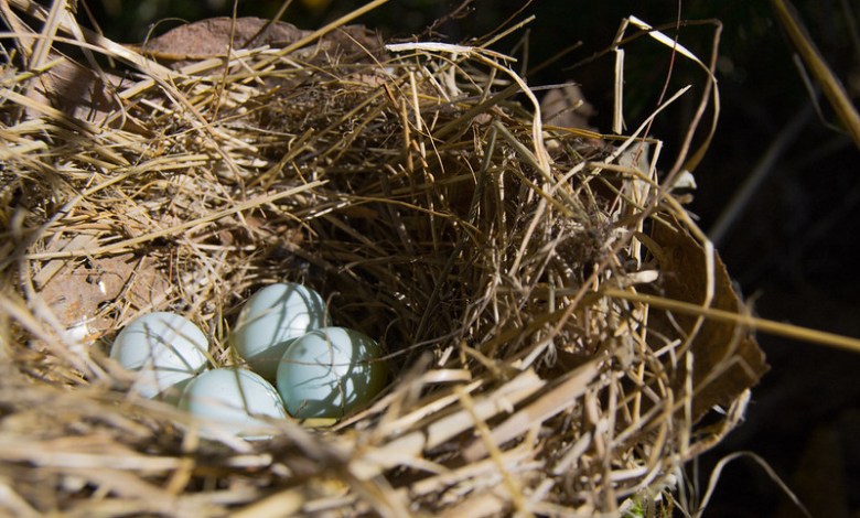 How a startup makes egg freezing more affordable and fair How a startup makes egg freezing more affordable and fair