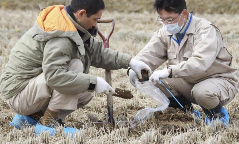 Fukushima soil travels to Japan's afternoon flower beds to alleviate fear of nuclear safety Fukushima soil travels to Japan's afternoon flower beds to alleviate fear of nuclear safety
