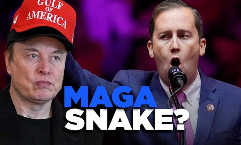 Musk slams influential Trump adviser: “He's a snake” Musk slams influential Trump adviser: “He's a snake”