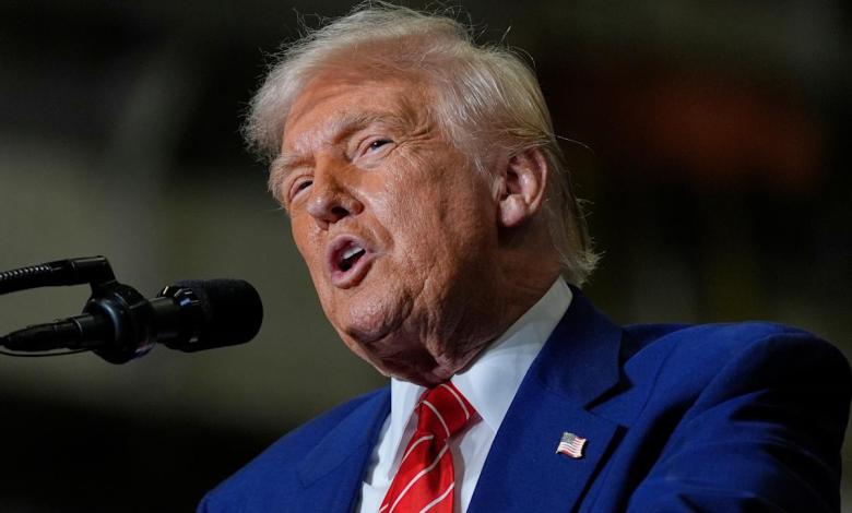 Trump pardons 2 divers, freeing 19 sharks from the Florida coast Trump pardons 2 divers, freeing 19 sharks from the Florida coast
