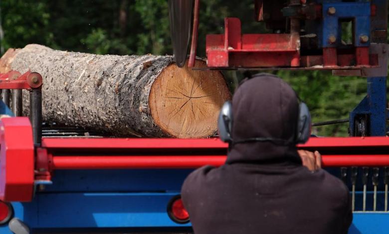 The United States will increase its work on Canadian cork timber The United States will increase its work on Canadian cork timber