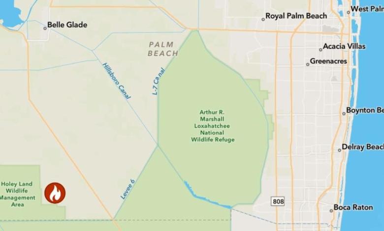 Provisional Burns Plans near Python “hot spots” in southwest Palm Beach County today Provisional Burns Plans near Python “hot spots” in southwest Palm Beach County today