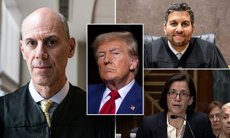 Trump 'liked' the House bill to prevent judges from banning Trump from taking policy in the U.S. Trump 'liked' the House bill to prevent judges from banning Trump from taking policy in the U.S.
